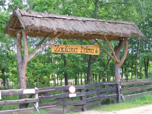 Wieś Piliki, gmina Bielsk Podlaski Wieś Piliki, gmina Bielsk Podlaski