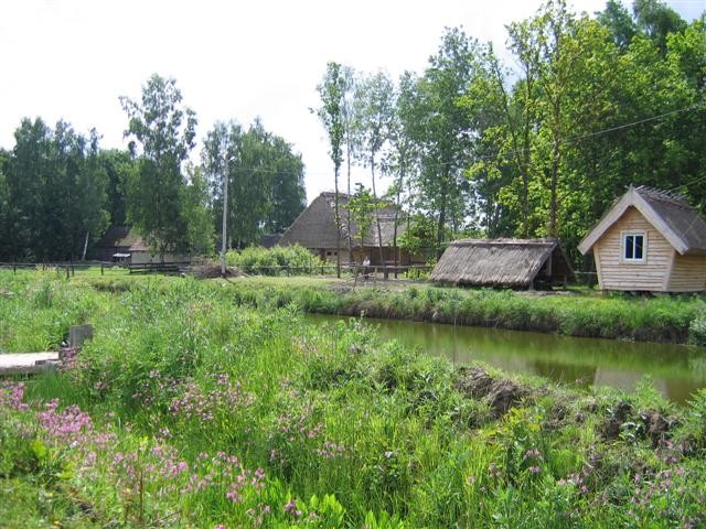 Wieś Piliki, gmina Bielsk Podlaski Wieś Piliki, gmina Bielsk Podlaski