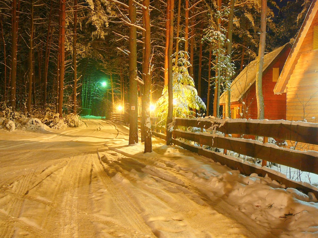 Ploski, gmina Bielsk Podlaski